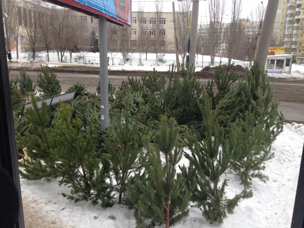 image (6)