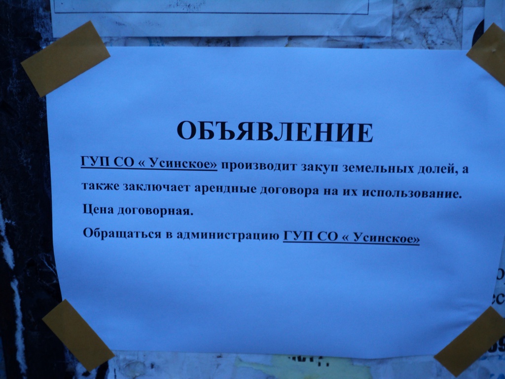 DSC00254 (1)