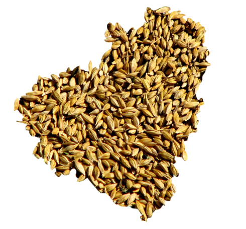 Grain