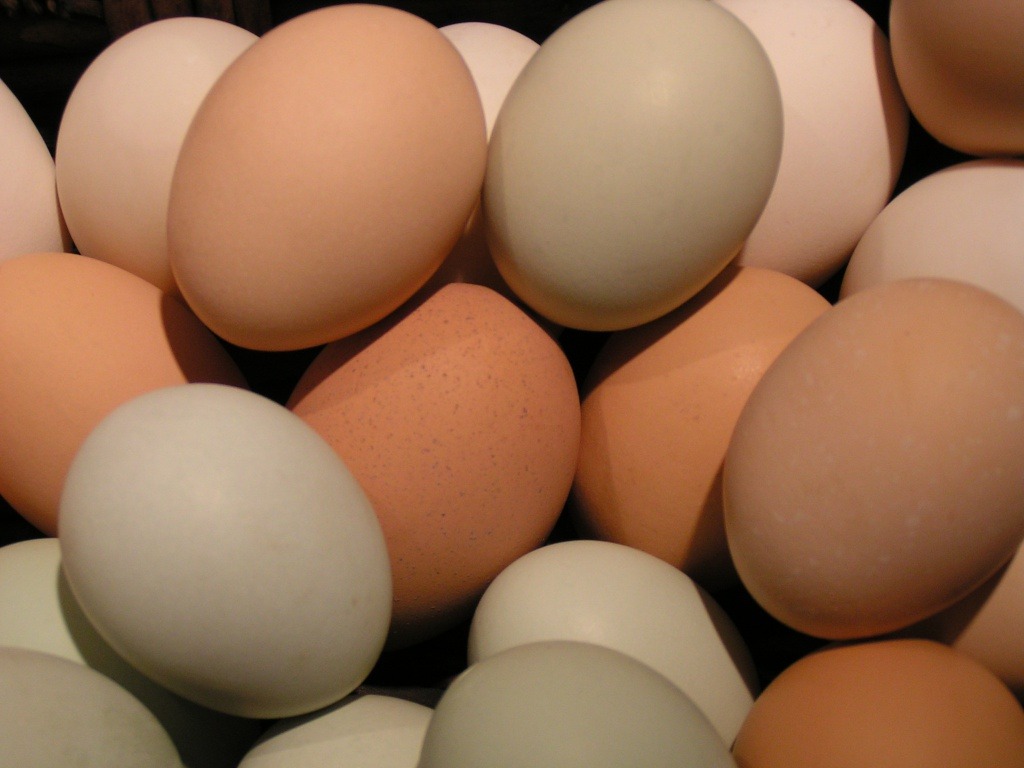 egg2