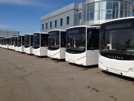 автобусы