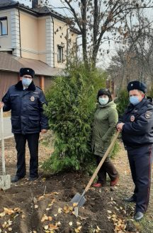 Полицейские и общественники Самарской области приняли участие в высадке саженцев хвойных деревьев — Портал «НеСлухи.рф» (nesluhi.info)
