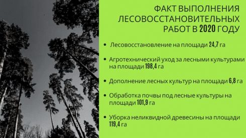 Итоги Года Тольятти. Экология: будет ли лучше? — Портал «НеСлухи.рф» (nesluhi.info)