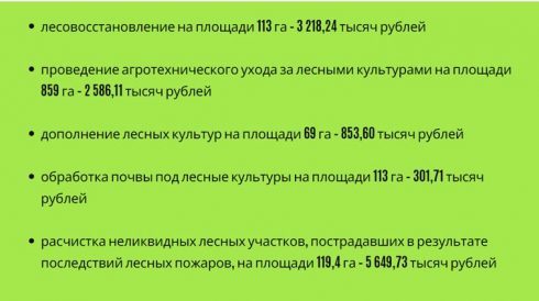 Итоги Года Тольятти. Экология: будет ли лучше? — Портал «НеСлухи.рф» (nesluhi.info)