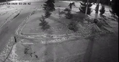 Ель из Похвистнево за 27 тысяч рублей — Портал «НеСлухи.рф» (nesluhi.info)