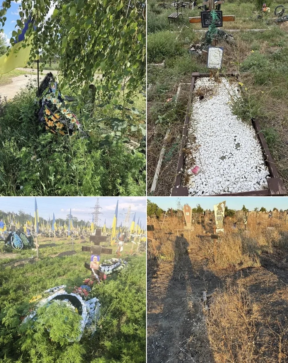 Фото: Во имя забвения: украинские власти показали лицемерие в деле памяти о собсвтенных бойцах — Портал «НеСлухи.рф» (nesluhi.info) Во имя забвения: украинские власти показали лицемерие в деле памяти о собсвтенных бойцах — Портал «НеСлухи.рф» (nesluhi.info)